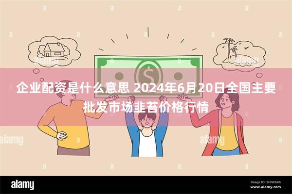 企业配资是什么意思 2024年6月20日全国主要批发市场韭苔价格行情