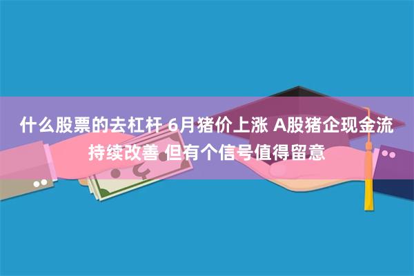 什么股票的去杠杆 6月猪价上涨 A股猪企现金流持续改善 但有个信号值得留意