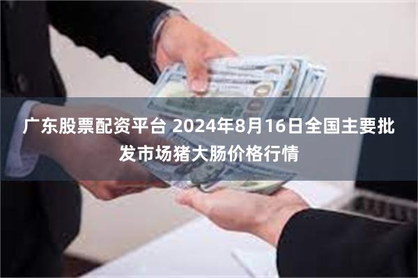 广东股票配资平台 2024年8月16日全国主要批发市场猪大肠价格行情