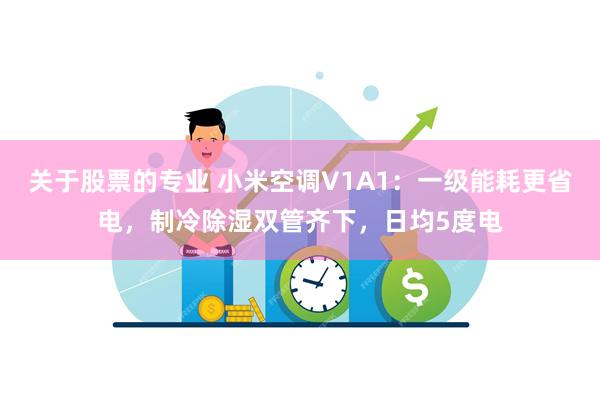 关于股票的专业 小米空调V1A1：一级能耗更省电，制冷除湿双管齐下，日均5度电