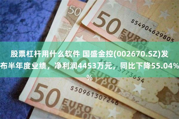 股票杠杆用什么软件 国盛金控(002670.SZ)发布半年度业绩，净利润4453万元，同比下降55.04%