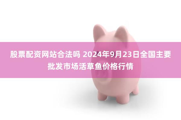 股票配资网站合法吗 2024年9月23日全国主要批发市场活草鱼价格行情