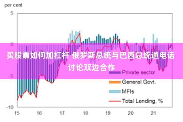 买股票如何加杠杆 俄罗斯总统与巴西总统通电话 讨论双边合作