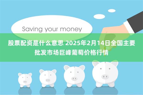 股票配资是什么意思 2025年2月14日全国主要批发市场巨峰葡萄价格行情