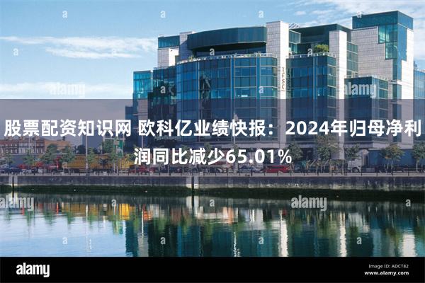 股票配资知识网 欧科亿业绩快报：2024年归母净利润同比减少65.01%