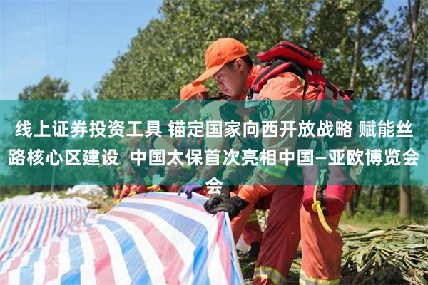 线上证券投资工具 锚定国家向西开放战略 赋能丝路核心区建设  中国太保首次亮相中国—亚欧博览会